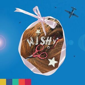 Wishy - Paradise on Planet Popstar  LP LP